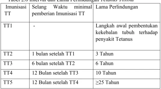 Tabel 2.6 Interval dan Lama Perlindungan Tetanus Toxoid  Imunisasi 