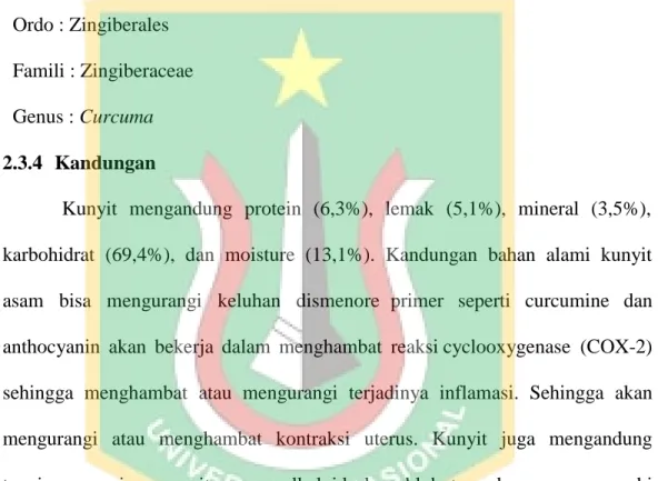 Gambar 2.4 Kunyit Asam (Infarkes, 2017) 