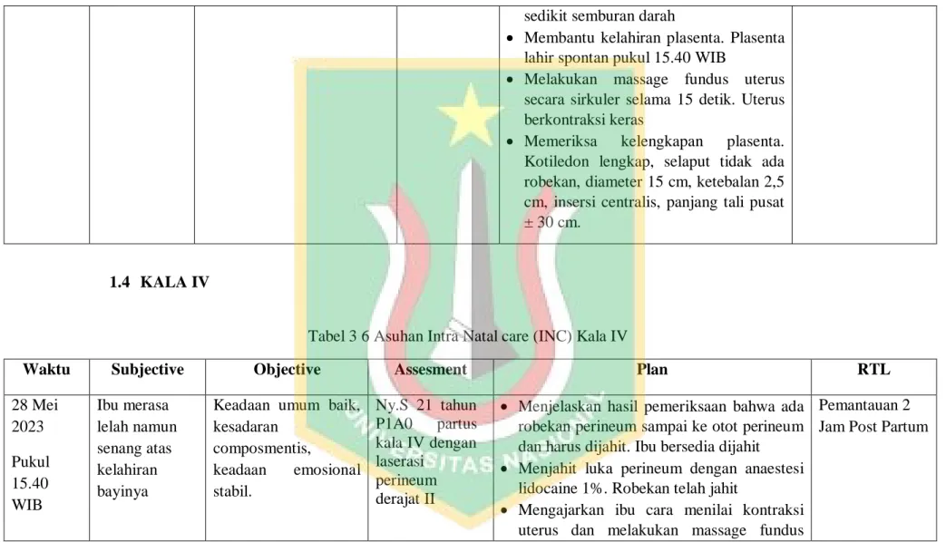 Tabel 3 6 Asuhan Intra Natal care (INC) Kala IV 