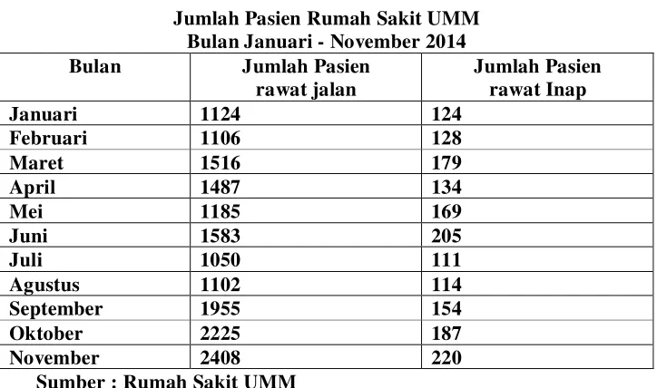 Tabel 1.1 Jumlah Pasien Rumah Sakit UMM 