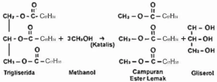 Gambar 7. Reaksi Transesterifikasi pada Trigliserida (Minyak Biji Kapuk). 