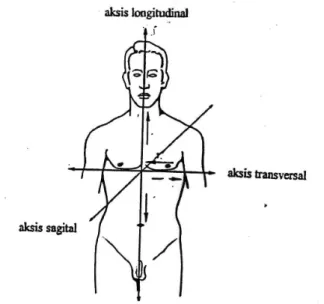 Gambar 1.3 Aksis-aksis penting (Tim Anatomi, 2011: 4) G.  ARAH PERGERAKAN 