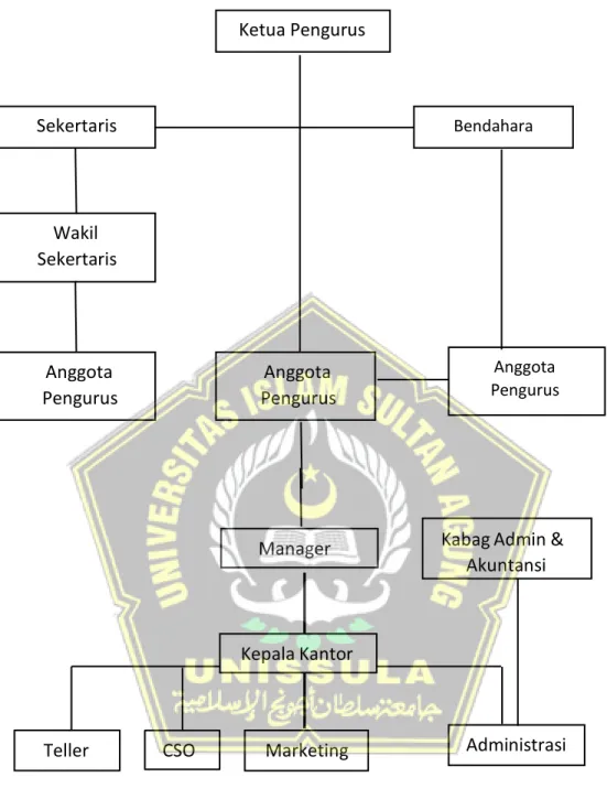 Gambar 3.1. Struktur Organisasi KSP Kuncup Melati 
