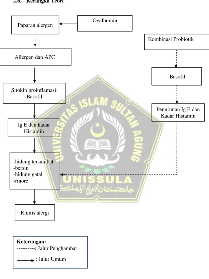 Gambar 2.4. Kerangka Teori 