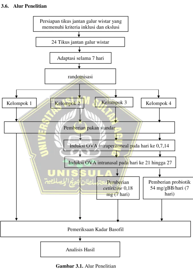 Gambar 3.1. Alur Penelitian 