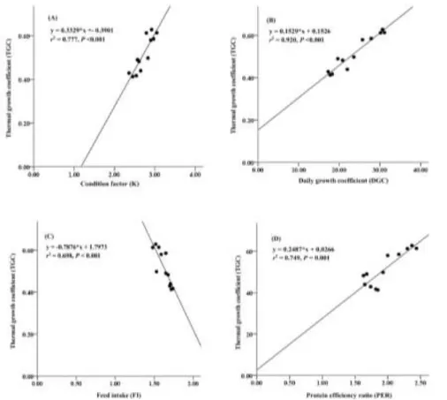 Figure  3.  Relationships  between  thermal  growth  coefficient  and  condition  factor  (A),  daily  growth coefficient (B), feed intake (C) and protein efficiency ratio (D) for giant gourami (O
