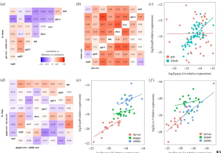 Figure  3. Gene expression correlations suggest partial decoupling of immune genes between tissues and  among life stages