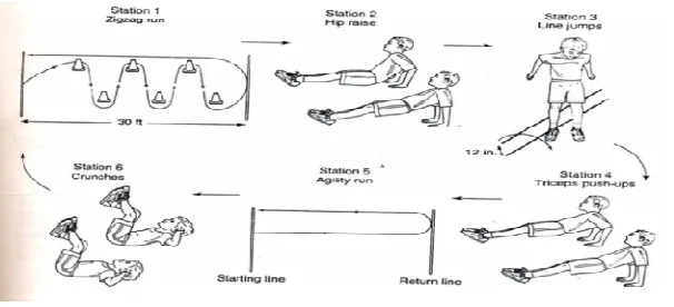 Gambar 2. Circuit Training 2 (Sumber: Thomas. Katherine T.. Lee. Amelia M..Thomas. Jerry R., 2000) 