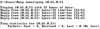 Gambar 4.19 Hasil Pengujian Router FIB (IP address: 10.65.0.55) 
