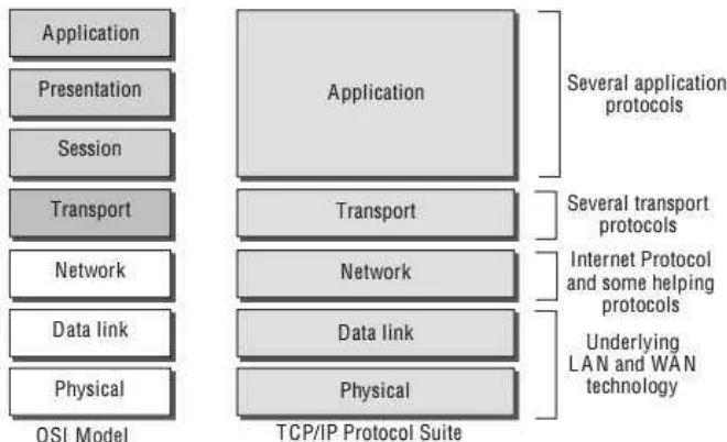 Gambar 2.6. Perbandingan Antara Model OSI dan Protokol TCP/IP 