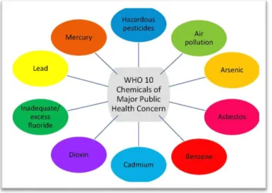 Gambar  3.  Bahan  Kimia  yang  menjadi  perhatian  utama  Kesehatan masyarakat menurut WHO 