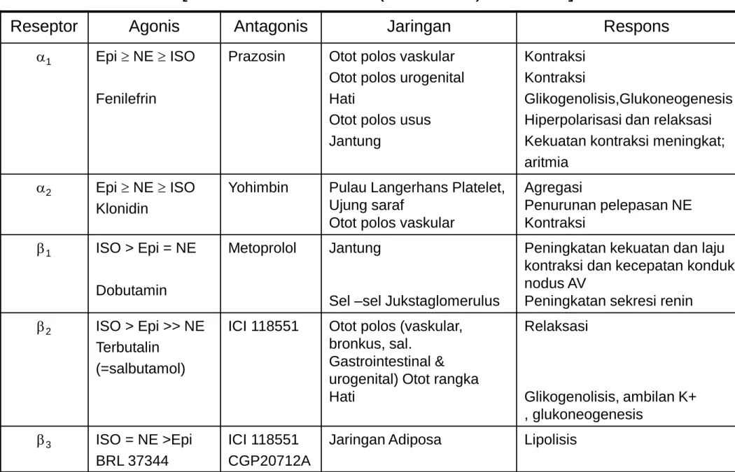 Tabel 6.3 Karakteristik Subtipe Reseptor Adrenergik   [Goodman &amp; Gilman (Indonesia), hal
