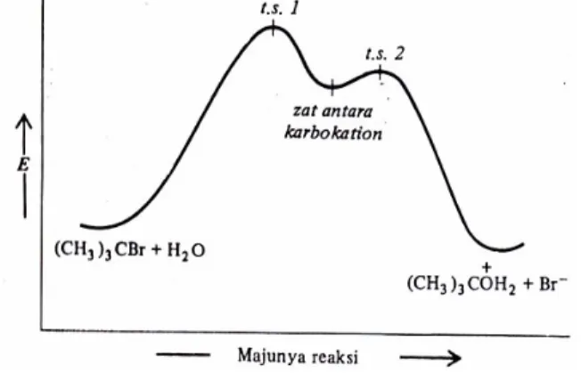 Gambar 4.4 Diagram energi untuk reaksi S N-1 Contoh soal 