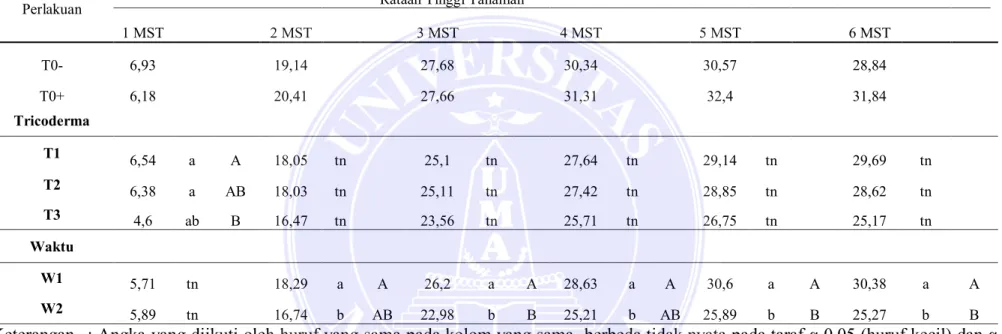 Tabel 3. Hasil uji rata rata Tinggi Tanaman (cm) Bawang merah akibat pemberian  Trichoderma  sp dan waktu aplikasi