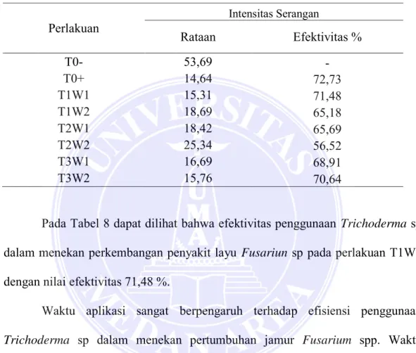 Tabel 8.Efektivitas Aplikasi  Trichoderma  sp dan Waktu Aplikasi  Trichoderma  sp  Terhadap Intensitas Serangan  Fusarium  sp Tanaman Bawang Merah  