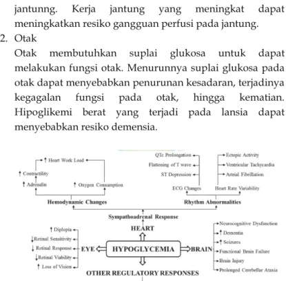 Gambar 3: skema dampak hipoglikemi 