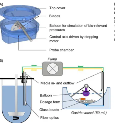 FIGURE 9.9 Fed stomach model: