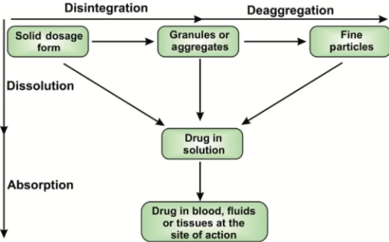 FIGURE 9.2 Schematic representa- representa-tion of dissolurepresenta-tion of a solid dosage form