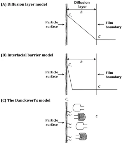 FIGURE 9.3 Schematic illustrations of (A) the Diffusion Layer Model, (B) the Interfacial Barrier Model, and (C) the Danckwerts Model