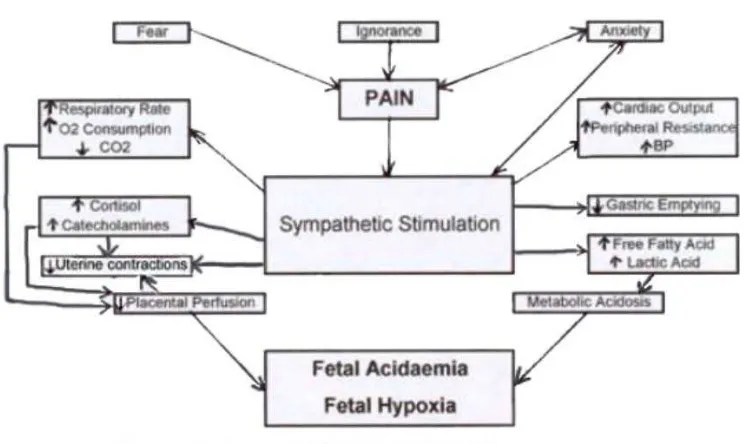 Gambar 5: Konsekuensi dari nyeri persalinan yang tak tertangani, sumber: Pain Relief 