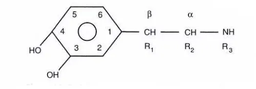 Gambar 12-5.  Adregernik Agonis yang mempunyai struktur 3,4 dihidroksibenzen 