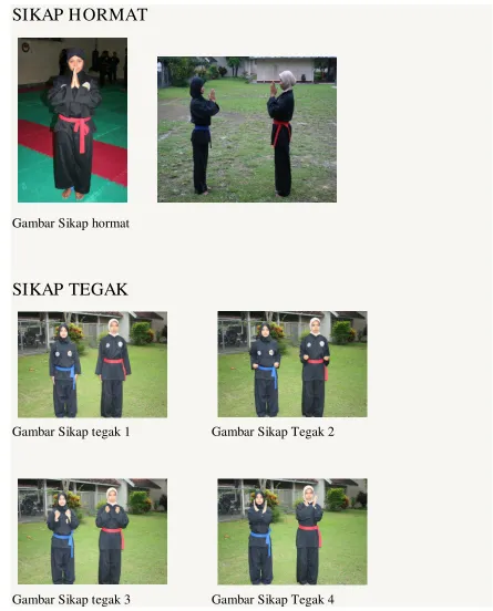 Gambar Sikap hormat 