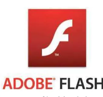 Gambar 2.30 Adobe Flash[21] 
