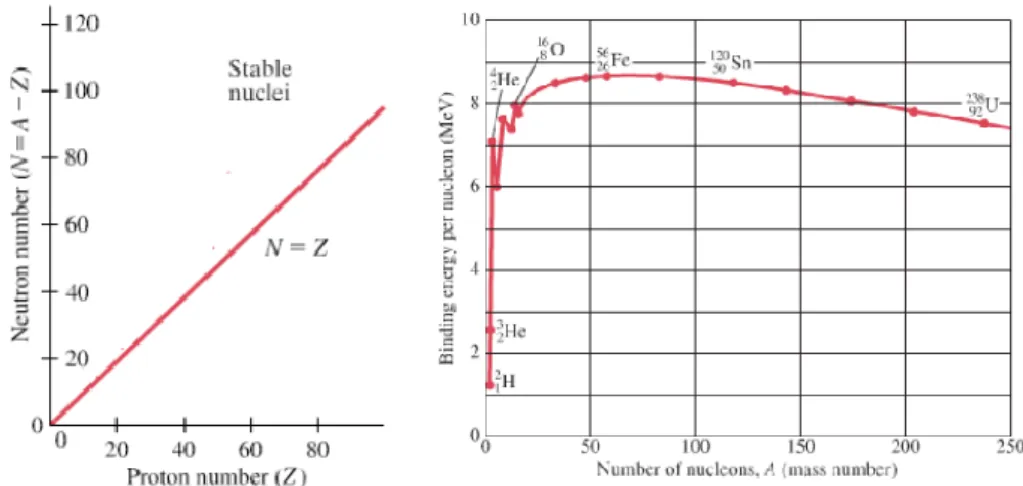 Gambar  kiri  menjelaskan  bahwa  nuklida  yang  berada  pada  garis  grafik  (N=Z)  adalah nuklida stabil, gaya ikat inti yang berasal dari energi ikat inti mengikat kuat  inti dan melawan gaya tolak elektrostatik