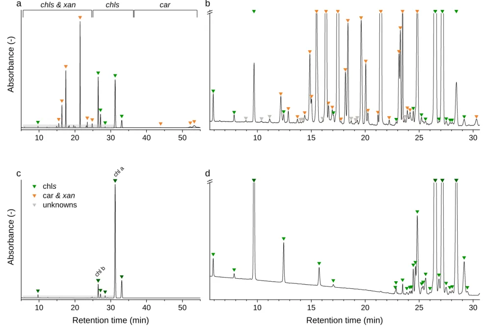 Fig. 3 Chromatograms of a spinach sample at 450 nm (a, b) and at 665 nm (c, d)  