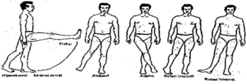 Gambar 2.7 Range of Motion (ROM) paha  a)  Pegang lutut dengan tangan satu, tangan lainnya 