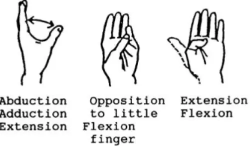 Gambar 2.6 Range of Motion (ROM) jari tangan 
