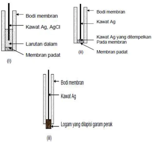 Gambar 2.6: Berbagai model elektroda selektif ion membran padat;(i)  sistem larutan dalam, (ii) sistem susunan padat dan (iii) sistem logam  berlapis 
