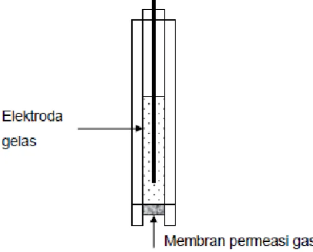 Gambar 2.8: Jenis elektroda sensor gas amonia 
