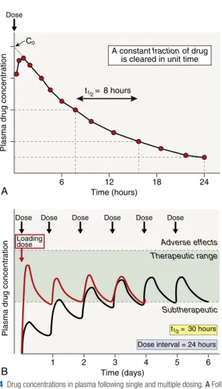 Fig. 2.4  Drug concentrations in plasma following single and multiple dosing. A Following  a single IV dose, the time required for the plasma drug concentration to halve (half- life,  t 1/2 ) is constant throughout the elimination process