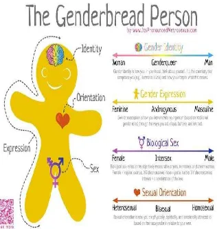 Gambar 3. The Gender Bread Person