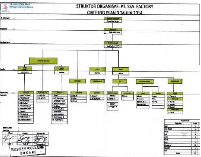 Gambar 4.1. Struktur Organisasi PT Era Roda Sukses