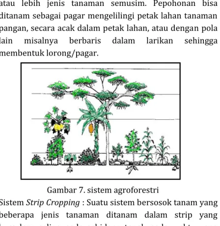 Gambar 7. sistem agroforestri 