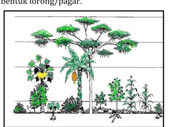 Gambar 8. Sistem strip cropping 