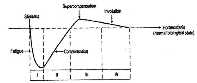 Figure 1: Adaptation Training (Bompa, 1994) 