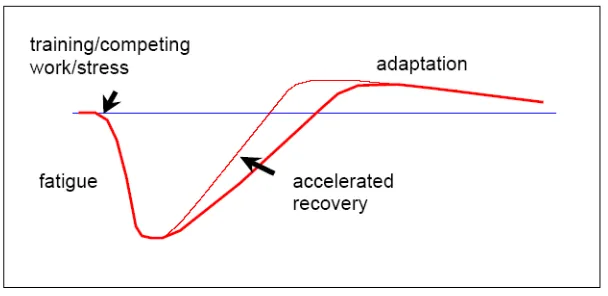 Figure 1. The Basic Principle of Recovery (Calder, 2003) 