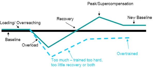 Figure 2. The Mechanism of Recovery to Enhance Athletic Performance (Hornery et.al, 2007) 