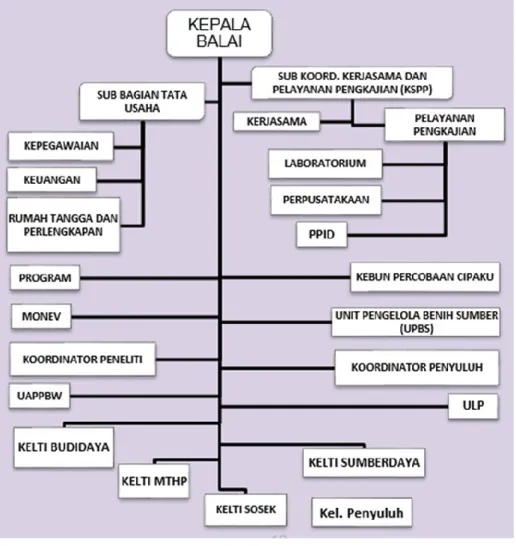 Gambar  2.4 Struktur Organisasi  2.  Sumberdaya Manusia BPTP Jawa barat 