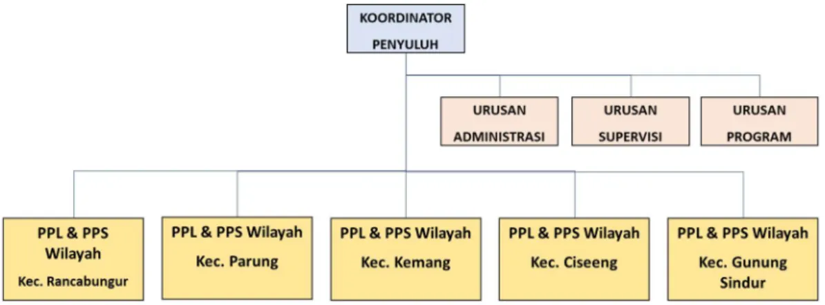 Gambar 4. 1 Struktur Organisasi BPP VIII Wilayah Ciseeng 