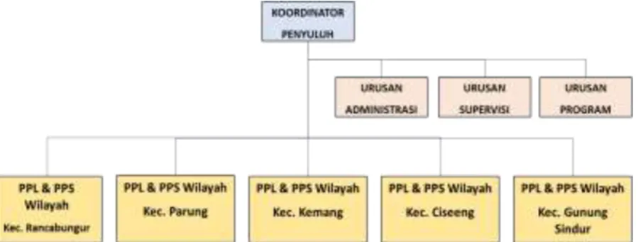 Gambar 4.1. Struktur organisasi BPP Wilayah VIII Ciseeng  (Sumber : BPP Ciseeng, 2022)