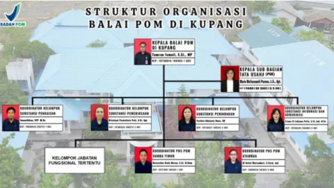 Gambar 1. Struktur Organisasi Balai POM di Kupang 