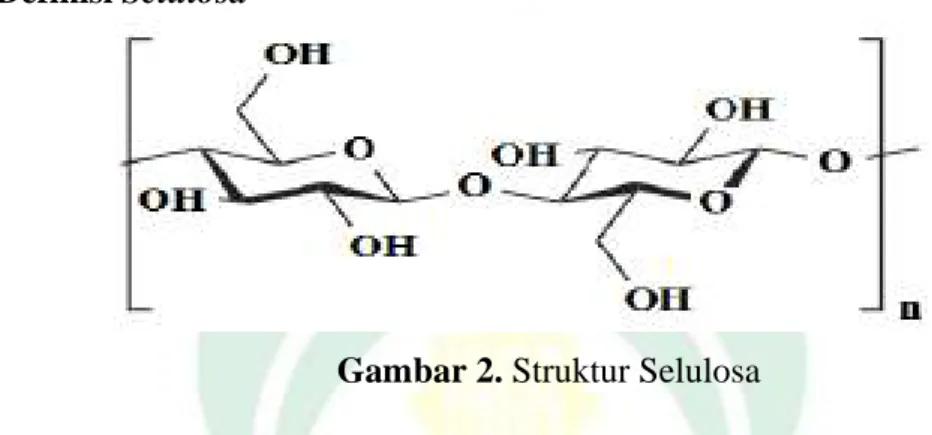 Gambar 2. Struktur Selulosa 