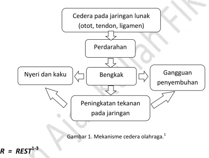 Gambar 1. Mekanisme cedera olahraga.1 