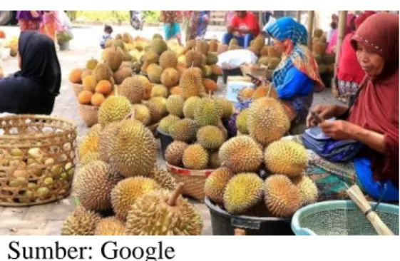 Gambar 4.3 Penghasil Durian 