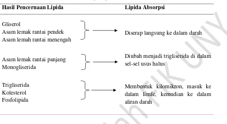 Tabel 2. Absorpsi lipida ke aliran darah 