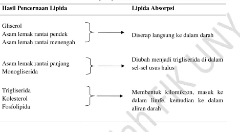 Tabel 2. Absorpsi lipida ke aliran darah 